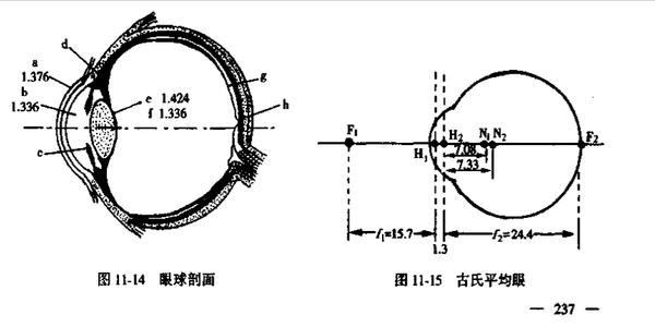 消息推送在哪里关闭，老师傅教你避开常见坑